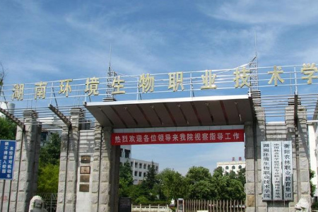 高职院校发文禁赌，被称之为“最严禁赌令”